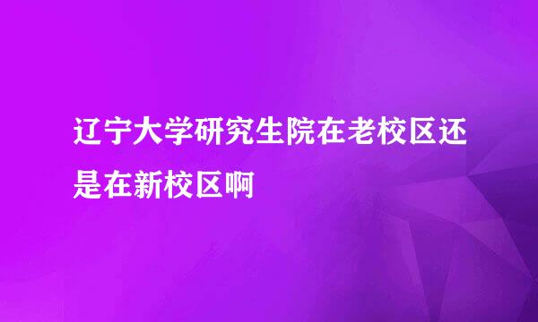 辽宁大学研究生院在老校区还是在新校区啊