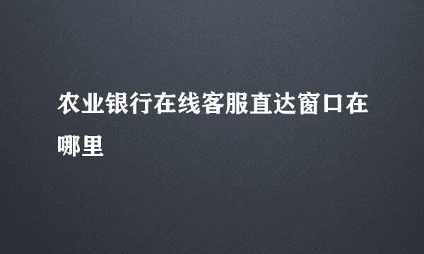 农业银行在线客服直达窗口在哪里