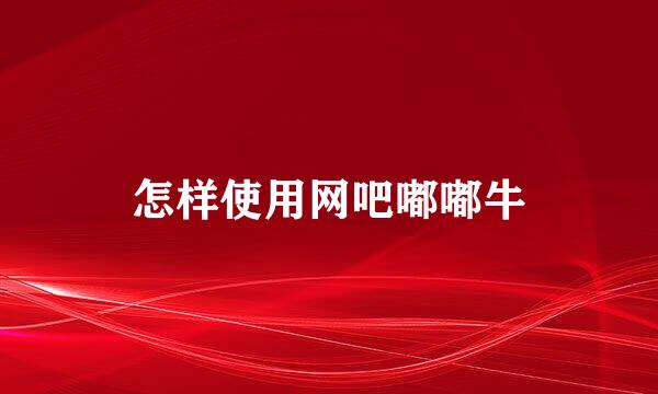 怎样使用网吧嘟嘟牛