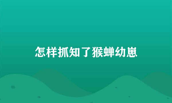 怎样抓知了猴蝉幼崽