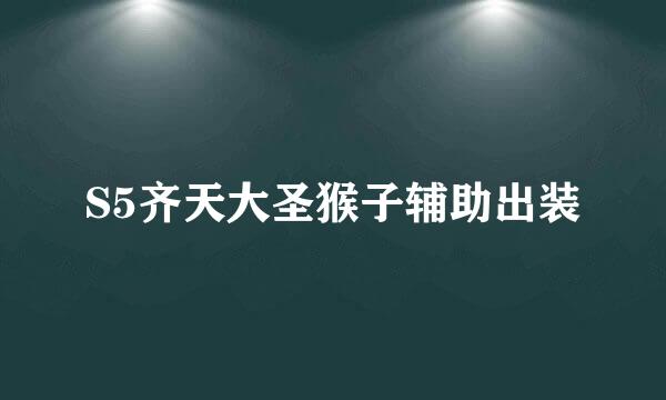 S5齐天大圣猴子辅助出装