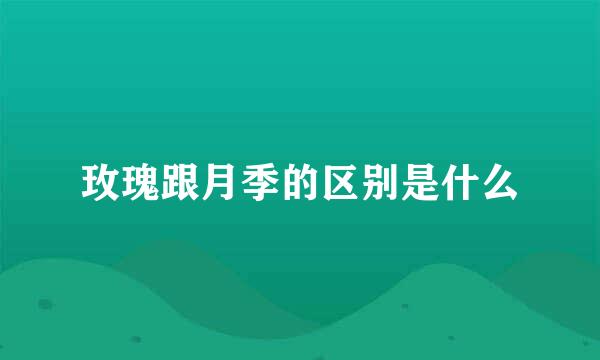 玫瑰跟月季的区别是什么