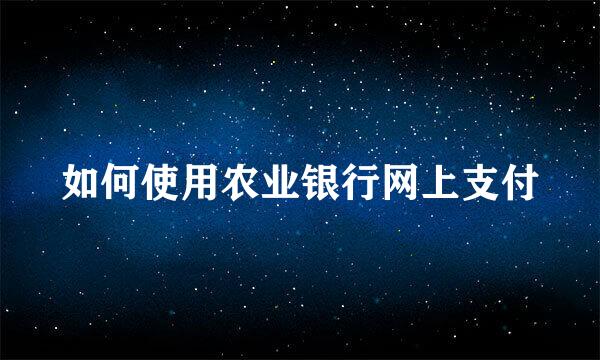如何使用农业银行网上支付