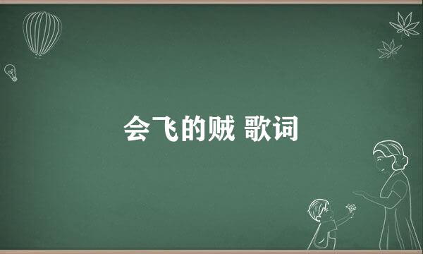 会飞的贼 歌词