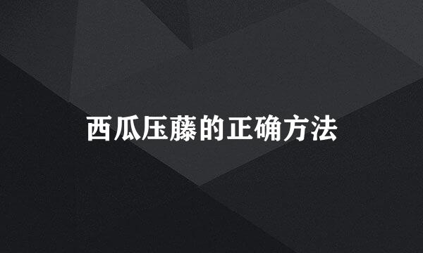 西瓜压藤的正确方法