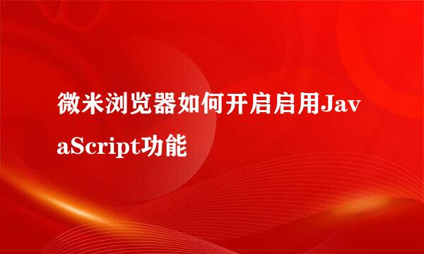 微米浏览器如何开启启用JavaScript功能