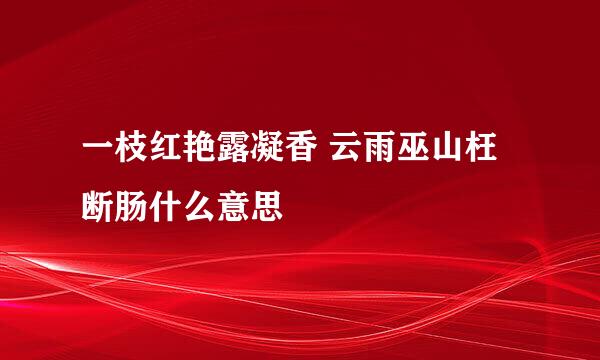 一枝红艳露凝香 云雨巫山枉断肠什么意思