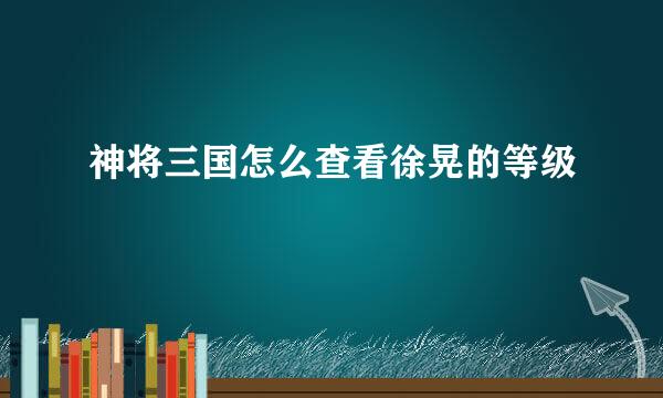 神将三国怎么查看徐晃的等级