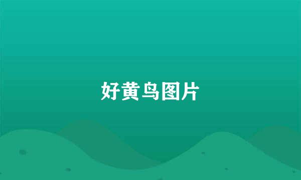 好黄鸟图片