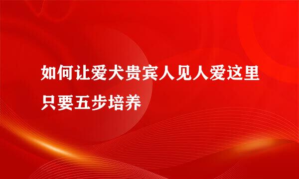 如何让爱犬贵宾人见人爱这里只要五步培养