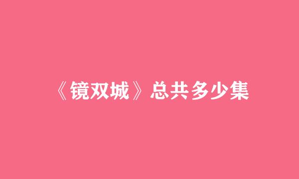 《镜双城》总共多少集