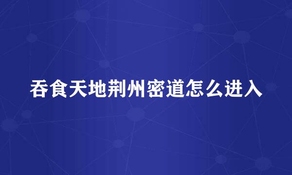 吞食天地荆州密道怎么进入