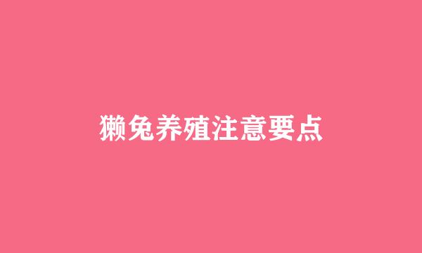 獭兔养殖注意要点