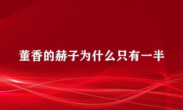 董香的赫子为什么只有一半