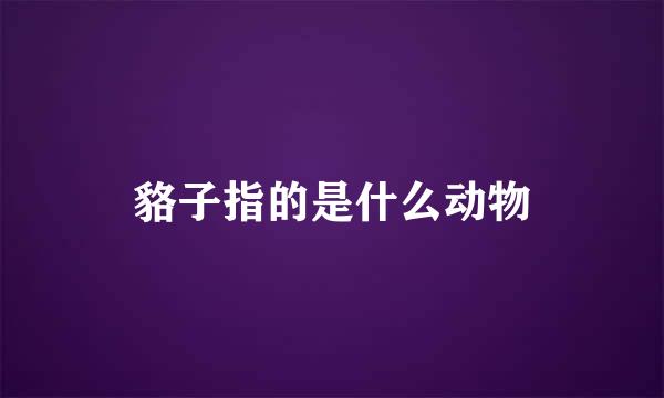 貉子指的是什么动物