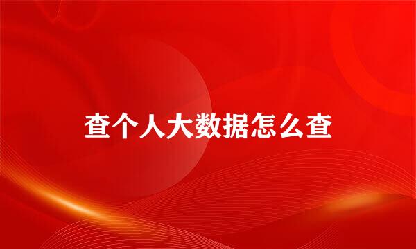 查个人大数据怎么查