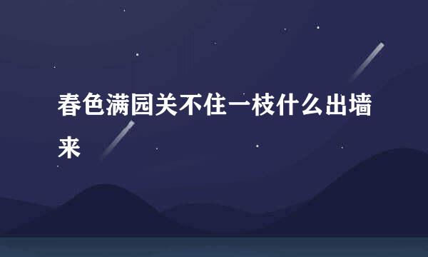 春色满园关不住一枝什么出墙来