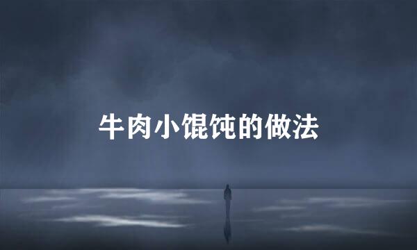 牛肉小馄饨的做法
