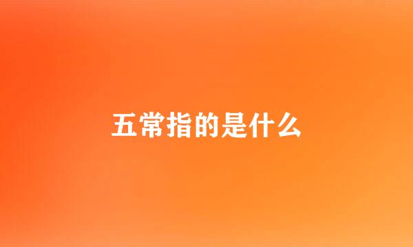 五常指的是什么