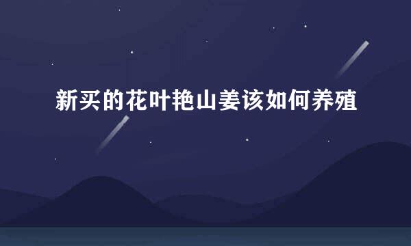 新买的花叶艳山姜该如何养殖