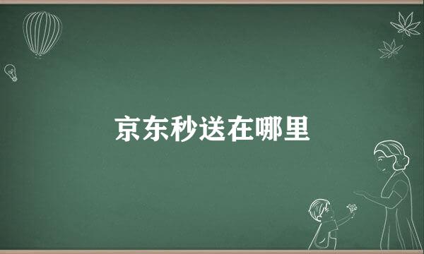 京东秒送在哪里
