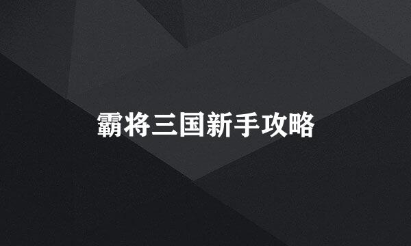 霸将三国新手攻略