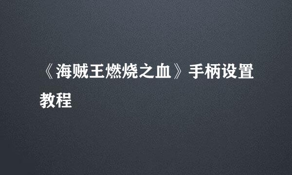 《海贼王燃烧之血》手柄设置教程