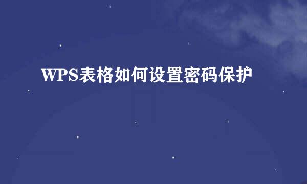 WPS表格如何设置密码保护