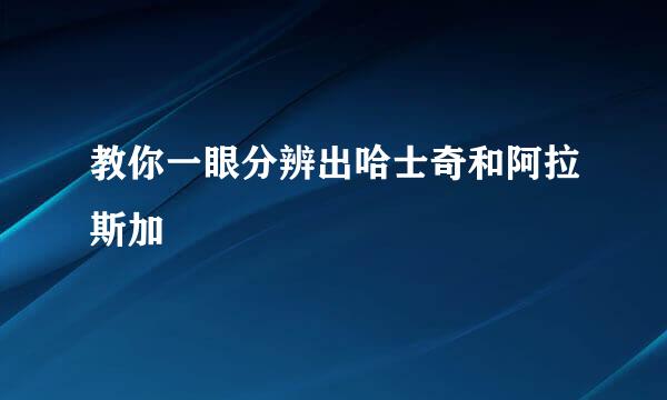 教你一眼分辨出哈士奇和阿拉斯加