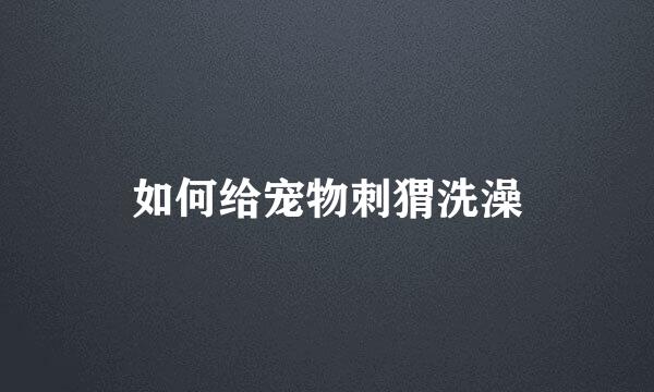 如何给宠物刺猬洗澡