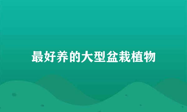 最好养的大型盆栽植物