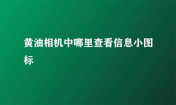 黄油相机中哪里查看信息小图标