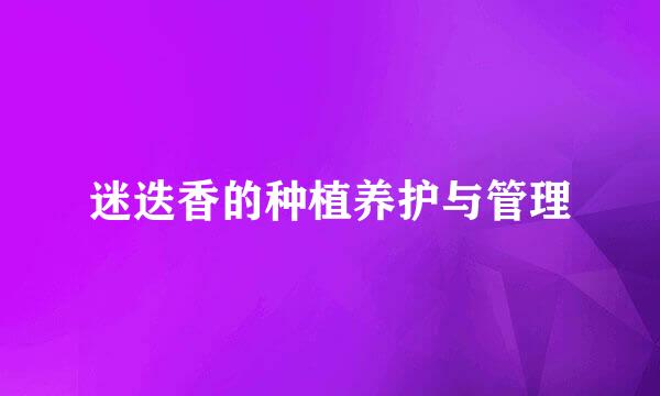迷迭香的种植养护与管理