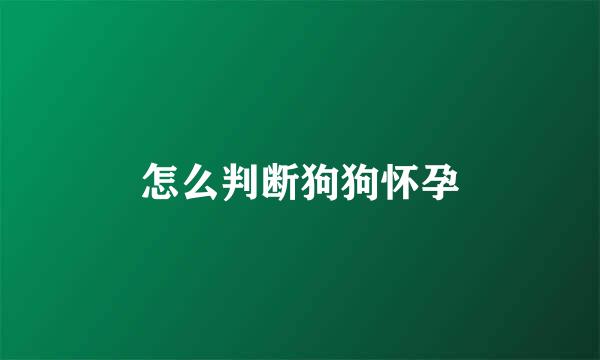 怎么判断狗狗怀孕