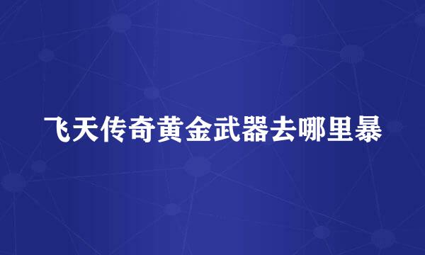 飞天传奇黄金武器去哪里暴