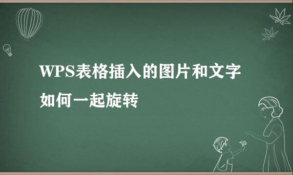 WPS表格插入的图片和文字如何一起旋转