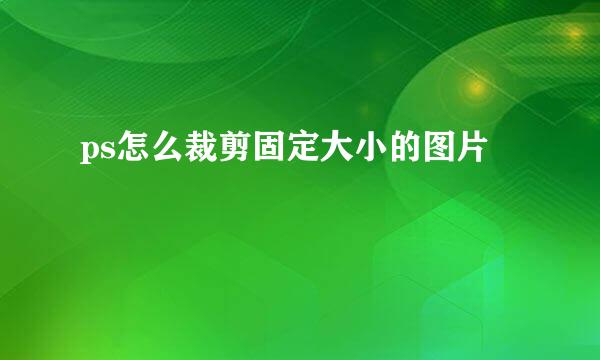 ps怎么裁剪固定大小的图片