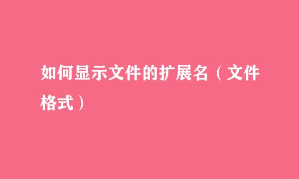 如何显示文件的扩展名（文件格式）