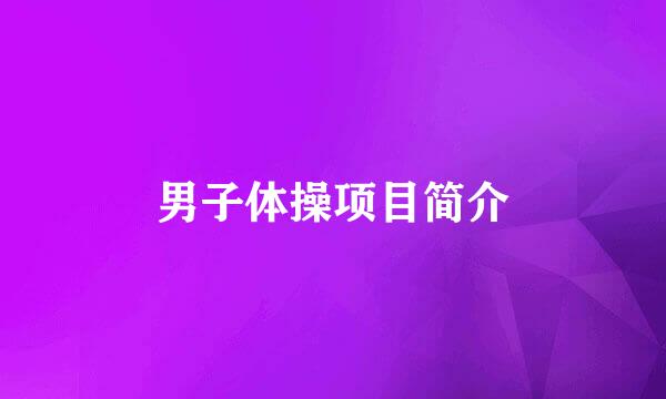 男子体操项目简介