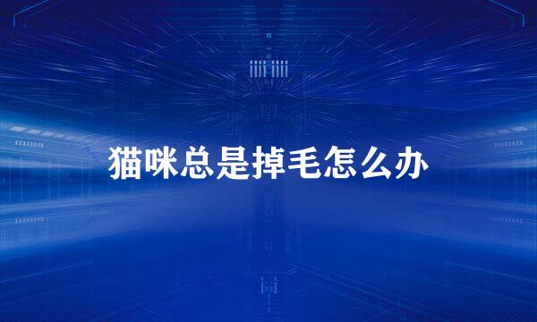 猫咪总是掉毛怎么办