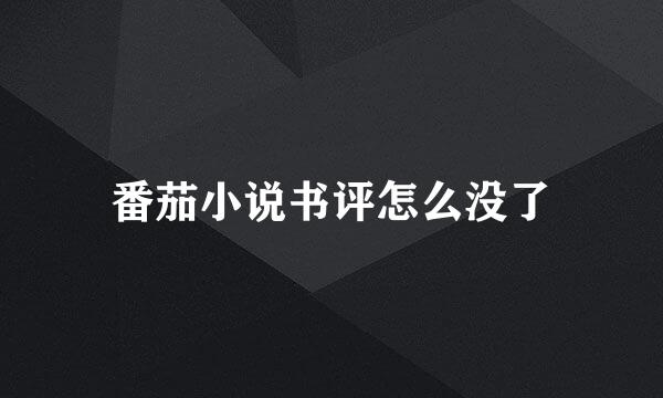 番茄小说书评怎么没了