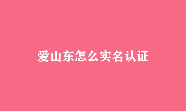 爱山东怎么实名认证