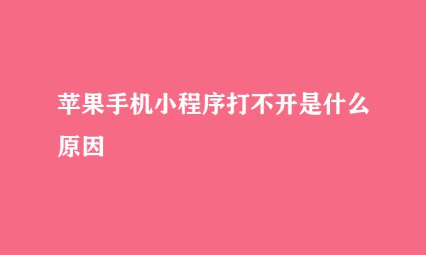 苹果手机小程序打不开是什么原因