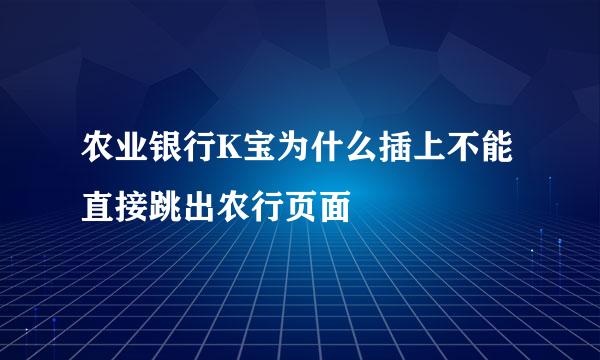 农业银行K宝为什么插上不能直接跳出农行页面