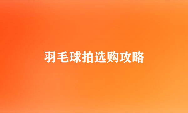 羽毛球拍选购攻略
