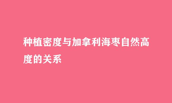 种植密度与加拿利海枣自然高度的关系