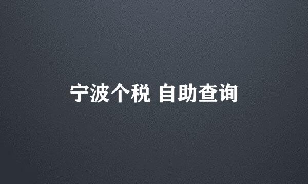 宁波个税 自助查询