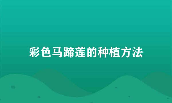 彩色马蹄莲的种植方法