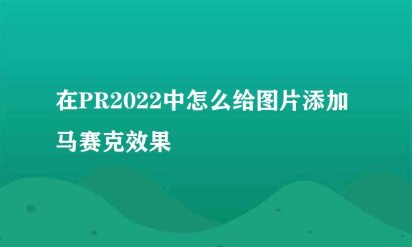 在PR2022中怎么给图片添加马赛克效果