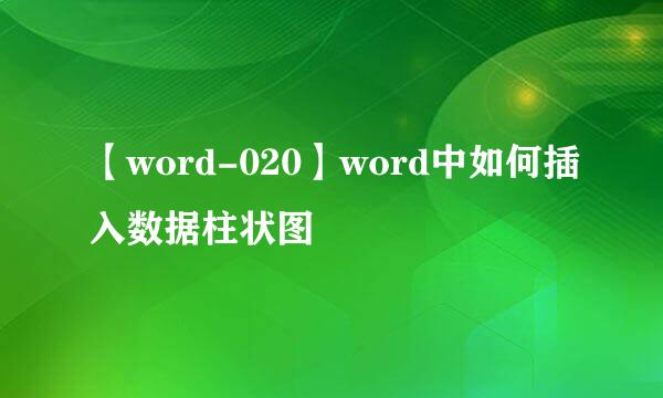 【word-020】word中如何插入数据柱状图